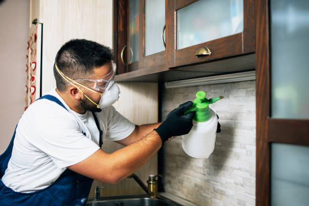 Best Pest Control for Restaurants  in Baldwyn, MS